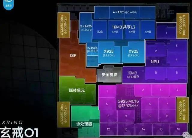 爱华外汇官方下载武夷山政府公园237名管护员获赠意外伤害保险